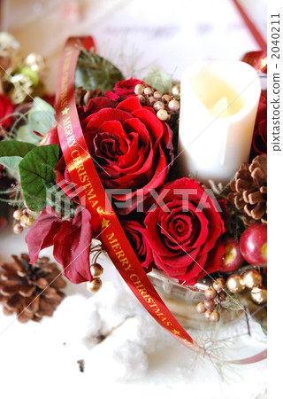 Christmas Flower 2040211