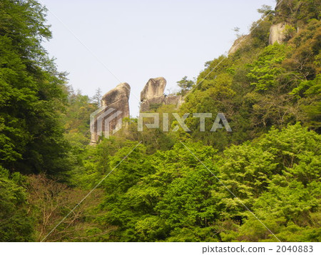 深海加侖的春天 深海加侖的春天 2040883