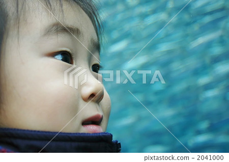 在水族館 在水族館 2041000