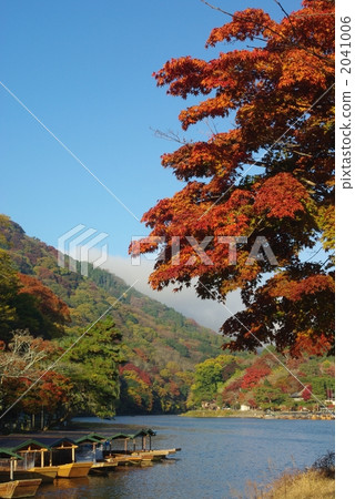 Hozugawa River of autumn leaves 2041006