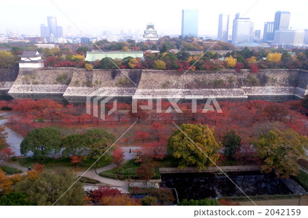 Autumn leaves of Osaka Castle (Minami-Uchibori) Autumn leaves of Osaka Castle (Minami-Uchibori) 2042159