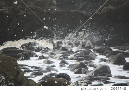 Wave of flower 2042548