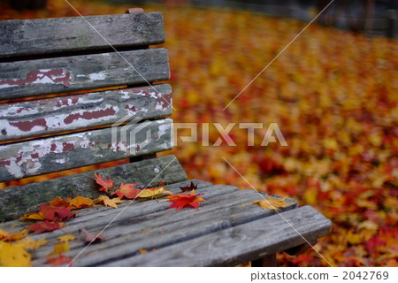 Autumn park Autumn park 2042769