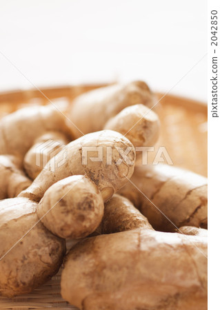 Up ginger Up ginger 2042850