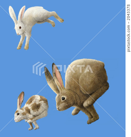 一群兔子跑步和跳躍 2043378