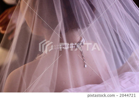 Wedding veil 2044721