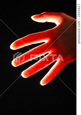 手持在光 2044827