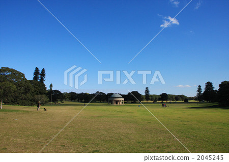 Sydney Central Park 2045245