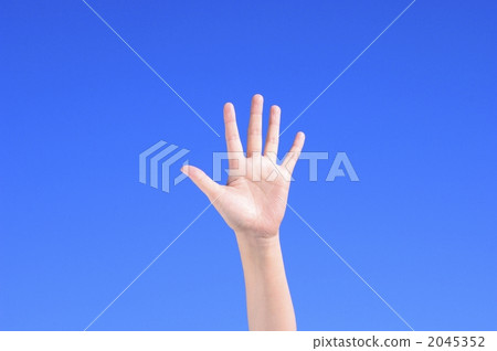 par, left hand, body parts 2045352