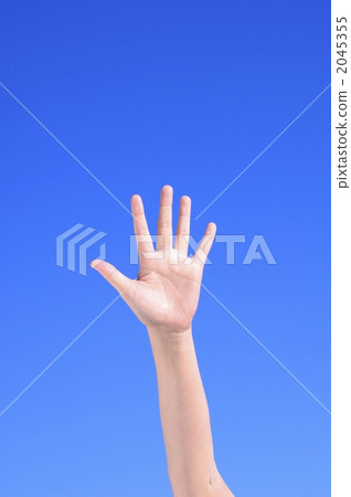 par, left hand, body parts 2045355