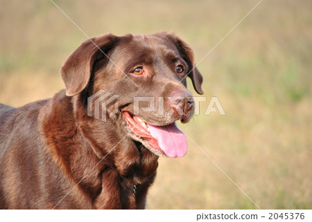 散步一天 散步一天 2045376