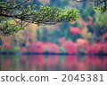 Shirakawa Pond 2045381