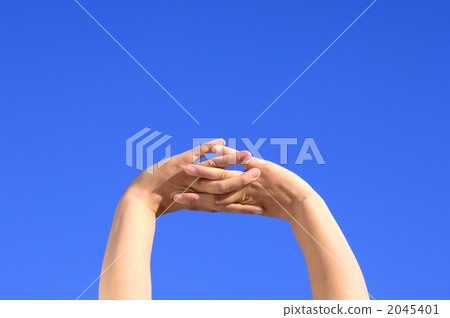 body parts, hands, Both Hands 2045401