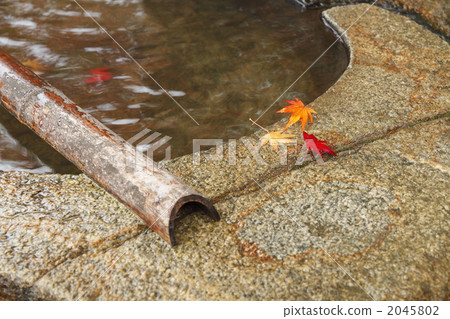 falling leafe, water for washing one's hands, immaculate 2045802