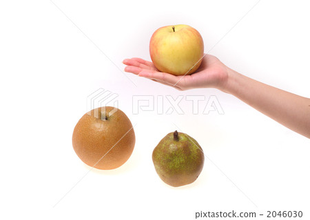 水果 水果 2046030