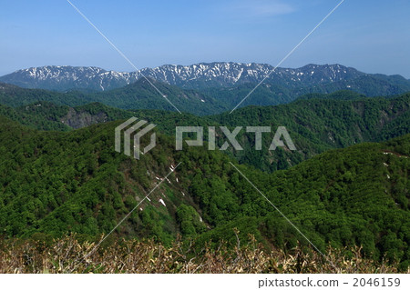 世界自然遺產白神山 2046159