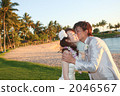 wedding, bridal couple, bride and groom 2046567