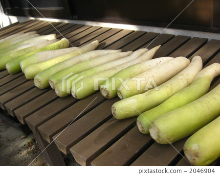 Takuan泡菜的製備 Takuan泡菜的製備 2046904