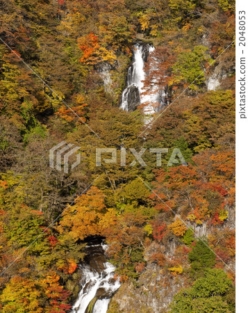 Autumnal leaves mist Noro Falls Autumnal leaves mist Noro Falls 2048053