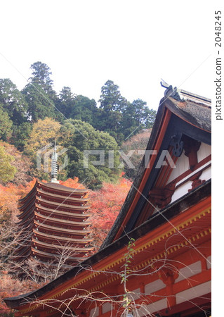 Tsuyama Shrine 2048245