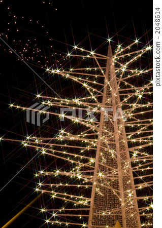 sapporo white illumination, christmas tree, christmas trees 2048614