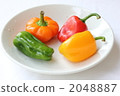 盤碟類 菜品 盆子 2048887