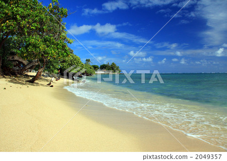 Kualoa海灘公園 2049357