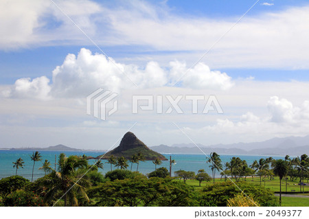 China man's hat seen from the Kualoa lunch 2049377