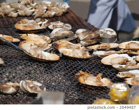 Grilled scallops 2049487