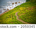 Suzu rice terrace 2050345