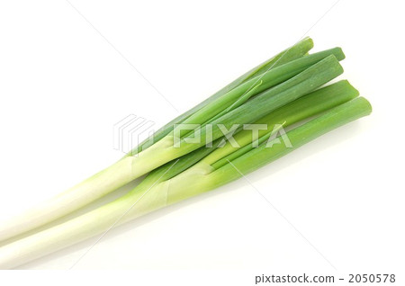 2 long onion 2 long onion 2050578