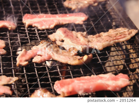 烤肉 烤肉 2051264