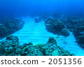 Sand and coral seabed Sand and coral seabed 2051356