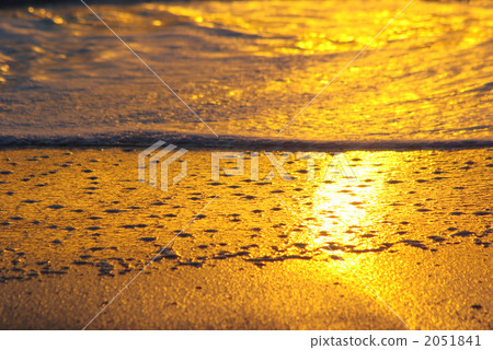 A golden beach at the edge 2051841
