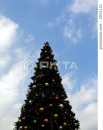 Christmas tree Christmas tree 2052152
