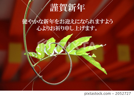 京都的新鮮綠色 2052727