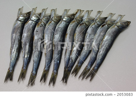 Round dried Round dried 2053083