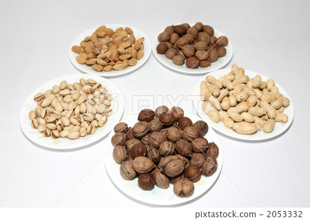 殼堅果惡魔核桃 2053332