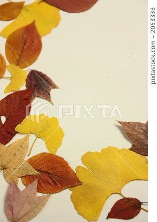 落葉 葉 樹葉 2053333
