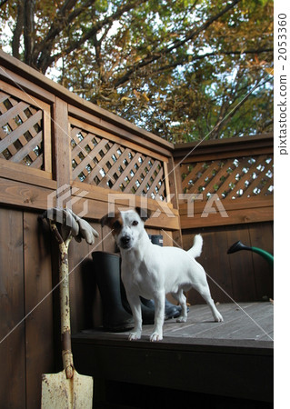 On the wood deck 01 2053360