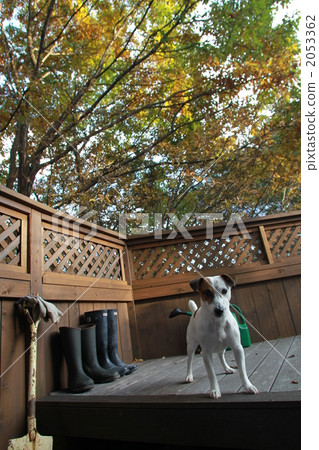 Wood deck 02 2053362