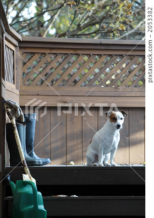 At the wood deck 07 2053382