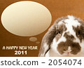 2011 Rop Year Rabbit Brown 2054074