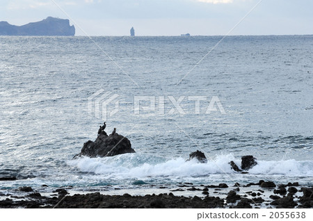 whitecaps, japanese cormorant, shakotan peninsula 2055638