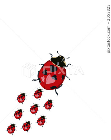 Heart pattern ladybug 4 2055825