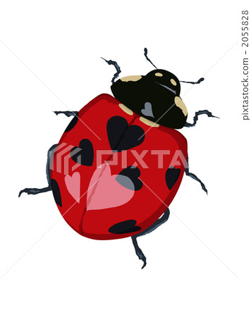 Heart pattern ladybug 3 2055828