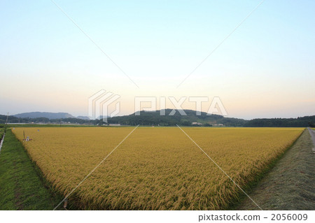 廣闊的鄉村景觀 2056009