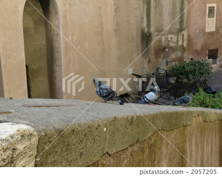 Castles and doves Castles and doves 2057205