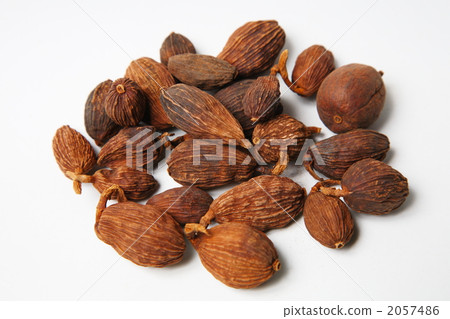 漢方牧草Souka 2057486