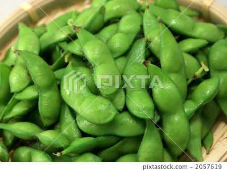 今天的豆子 今天的豆子 2057619